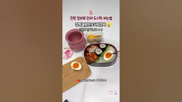 일본 다이소 천원 장비로 인싸 도시락 싸는 10가지 방법🥳#도시락