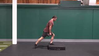 2DB Deficit Reverse Lunges