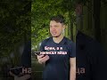 ОБРЕЗАЛ ЯЙЦА | ЕСЛИ ПОНРАВИЛОСЬ ВИДЕО, ПОДПИШИСЬ НА КАНАЛ!