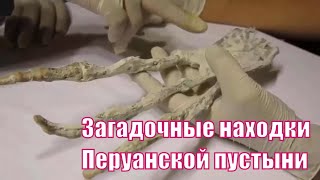 Археологи обнаружили артефакты способные изменить взгляд на нашу историю