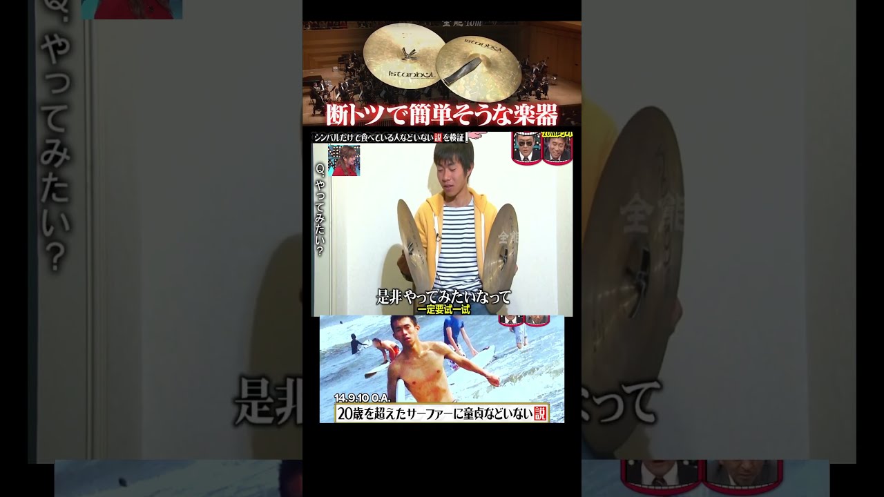 シンバルだけで食べている人などいない説を#水曜日のダウンタウン#検証動画#検証#説検証#浜田雅功#松本人志 #shortsvideo #funny #お笑い#面白集#面白い#神回