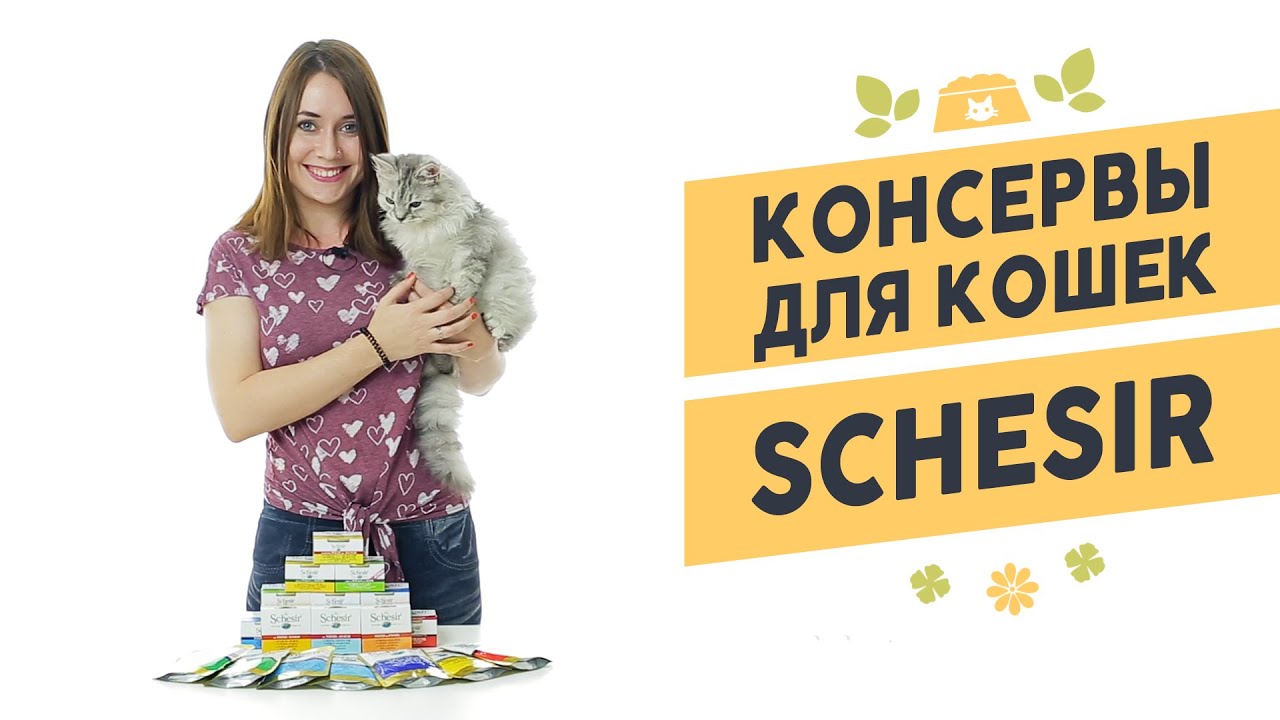 Консервы для кошек Schesir (Шезир)