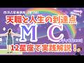 【西洋占星術(星読み)講座第7回】MC星座で紐解く「人生のゴールと社会で輝く姿」