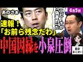 【高市内閣最新】小泉進次郎が中国に圧巻反論!シャングリラ会合のスピーチを「偽善的」と猛批判する中国報道官を一蹴!世界は既に日本が正しく中国が嘘だと認識か。秋のAPECはどうなる!?【独自論評】