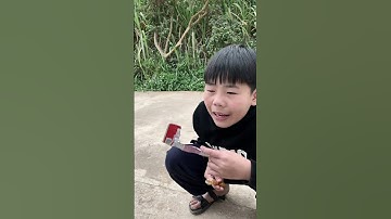 Khinh Thường Người Khác Và Cái Kết | Tippi Tv #tippitv