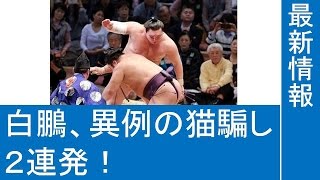 大相撲 白鵬、異例の猫騙し2連発!栃煌山を寄り切って全勝キープ 九州場所 大相撲 白鵬、異例の猫騙し2連発!栃煌山を寄り切って全勝キープ 九州場所