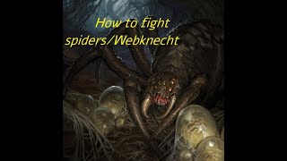 How to fight Spiders Battle Brother basics