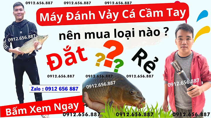 Báo giá máy đánh vảy cá chạy điện