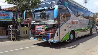 bus dewi sri 'cataleya' basuri stroberi mangga apel sorry gak level