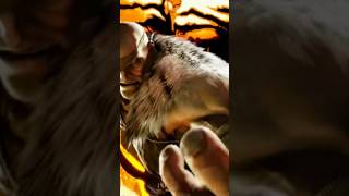 The Truth Behind Sagats Muay Thai Fighting Style #sf6 #streetfighter6