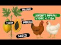 Kwenye Mpapai Majani Tunda Mbegu Na Mizizi Vyote Ni Tiba Za Asili Kwa Kuku