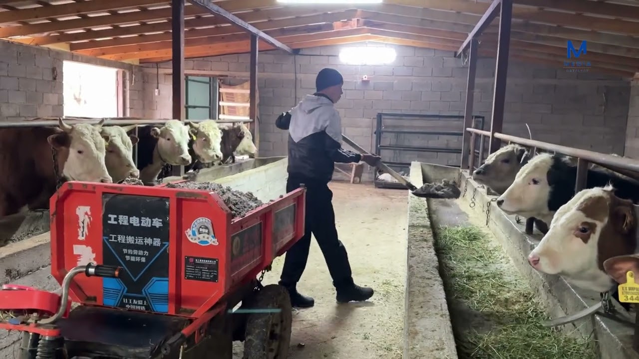 9 апреля 2025 г.