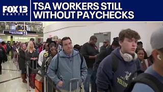 Long TSA lines reported nationwide amid ongoing government shutdown