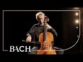 Bach - Cello Suite No. 4 in E-flat major BWV 1010 - Cocset | Netherlands Bach Society