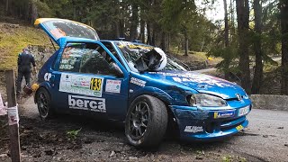 Rally Valle d’Aosta 2024 • Jumps, Crash & Mistake
