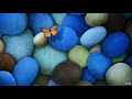 Whatsapp Status # Ravi || Rapchik Tech Whatsapp Status Video Download Free