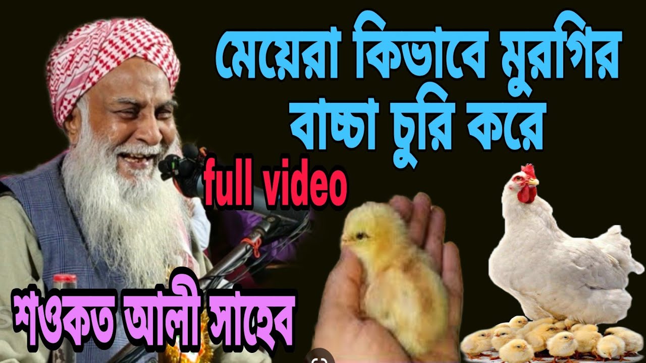 শওকত আলী সাহেব-মেয়েরা কিভাবে মুরগির বাচ্চা চুরি করে || sawkat ali