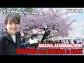 2026 Japan Cherry Blossom and Travel Alert! Early Blooms & New Travel Rules You Must Know Ep.629