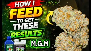 How I Go From Seed To Flower With 2 Products