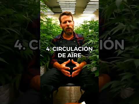 Cannabis, Home Growing Drying Tutorial 2022