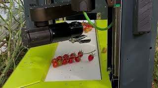 MetoMotion GRoW