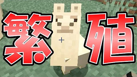تحميل マイクラ ラマ