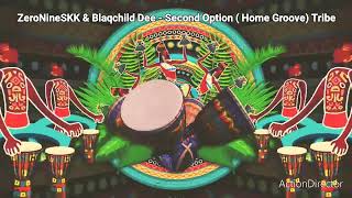 Zeronineskk U0026 Blaqchild Dee  Second Option  Home Groove  Tribe 