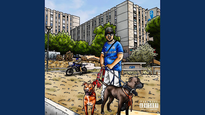 Tout Pour La Street