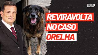 URGENTE 🚨 Reviravolta no caso Orelha? 🚨