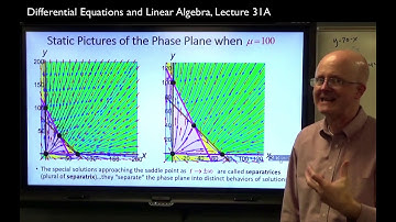 Competing Species, Trapping Regions, Poincaré-Bendixson, Hyperbolic Equilibria, Hartman Grobman Thm