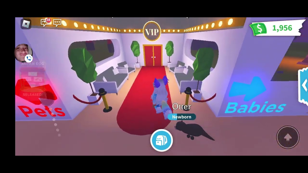Playing Adopt Me With Friends YouTube