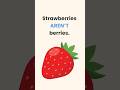 🍓 Strawberries Aren’t Berries?! 🤯 #shorts