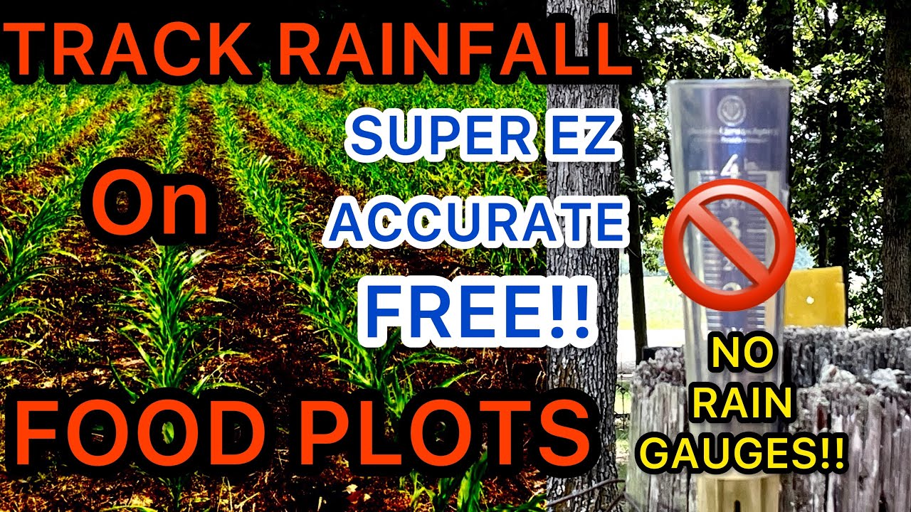 EZ WAY TO TRACK RAIN ON FOOD PLOTS....NO MO RAIN GAUGES!!! - YouTube