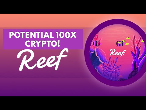 REEF Finance Review: A HIDDEN 100x Crypto Investment?!