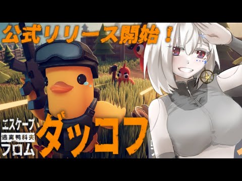 【エスケープ フロム ダッコフ】朝活ダッコフ！クエストちょこちょこやってくよ～【白星めりぃ/vtuber】