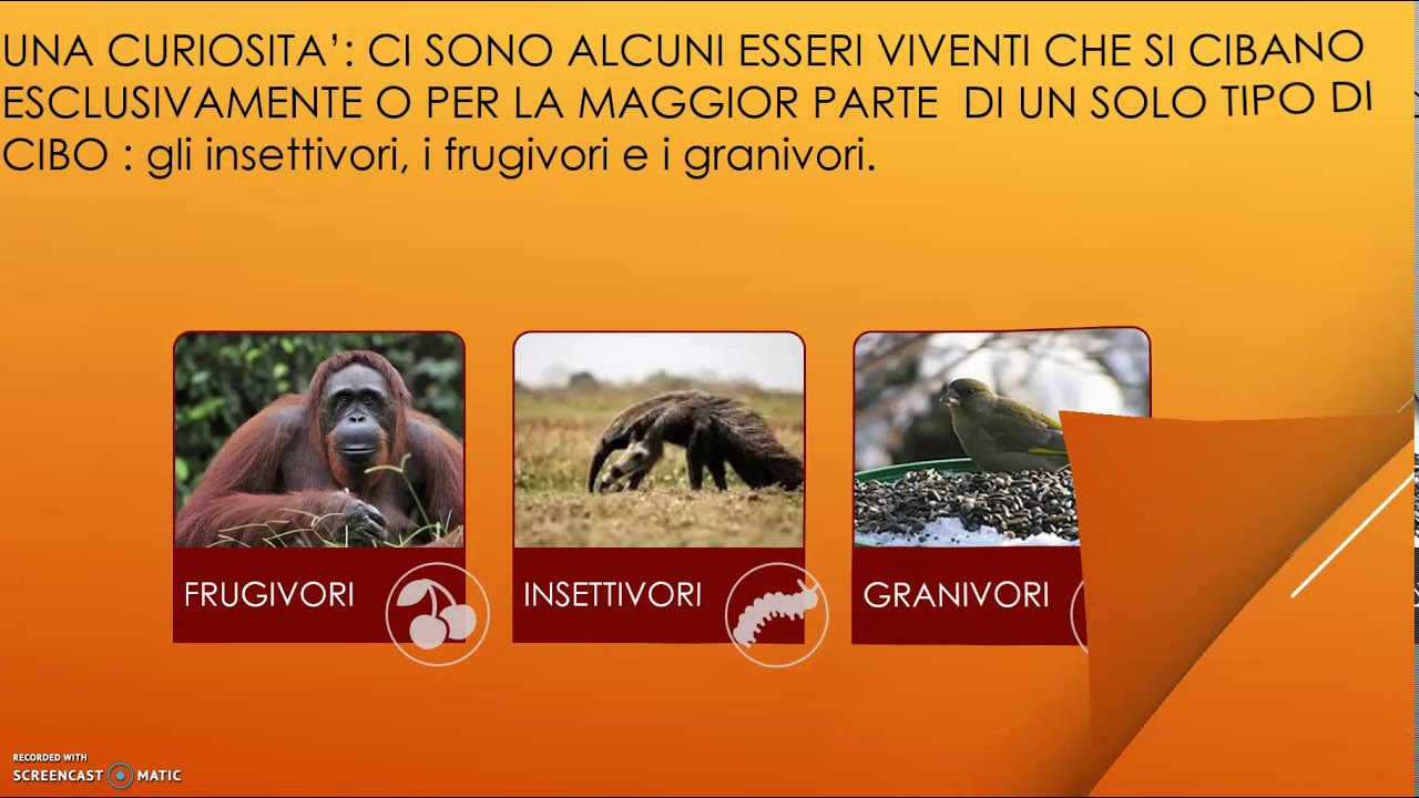 IL CICLO DELLA MATERIA - YouTube