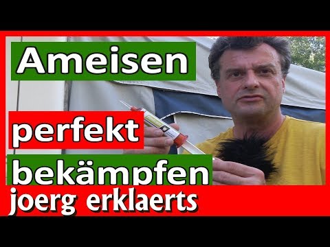 Video: Hundenahrungsmittelschüsseln, die Ameisen fernhalten