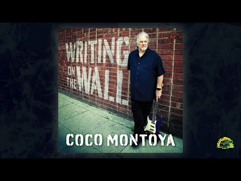 Coco Montoya - I Was Wrong (Visualizer Video)
