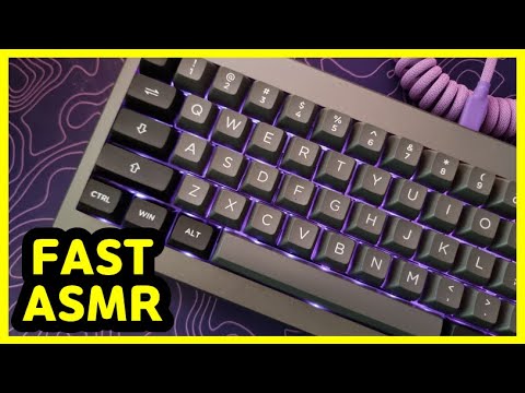 【FAST ASMR】 에포메이커 Shadow-X 플라밍고⌨️ | 강렬한 기계식키보드 타이핑 소리 | 공부 수면 팅글 ASMR😴 | 중간광고 없음 | No Talking