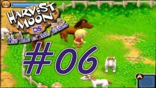 Let's Play Harvest Moon DS: Geschichten zweier Städte [Blind] #6 - Insektenfangen ist nicht schwer