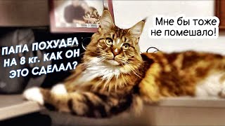 How did I lose 8 kg? Cats helped! Christmas trade #2023 #2k by Aksel Frank 23,948 views 5 months ago 9 minutes, 13 seconds