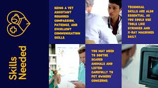 A Day in the Life of a Veterinary Assistant