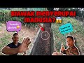 BIAWAK MENYERUPAI MANUSIA?ABANG BOMBA KELUAR KES | KHIDMAT KHAS BIAWAK | BESARNYA BIAWAK TU!