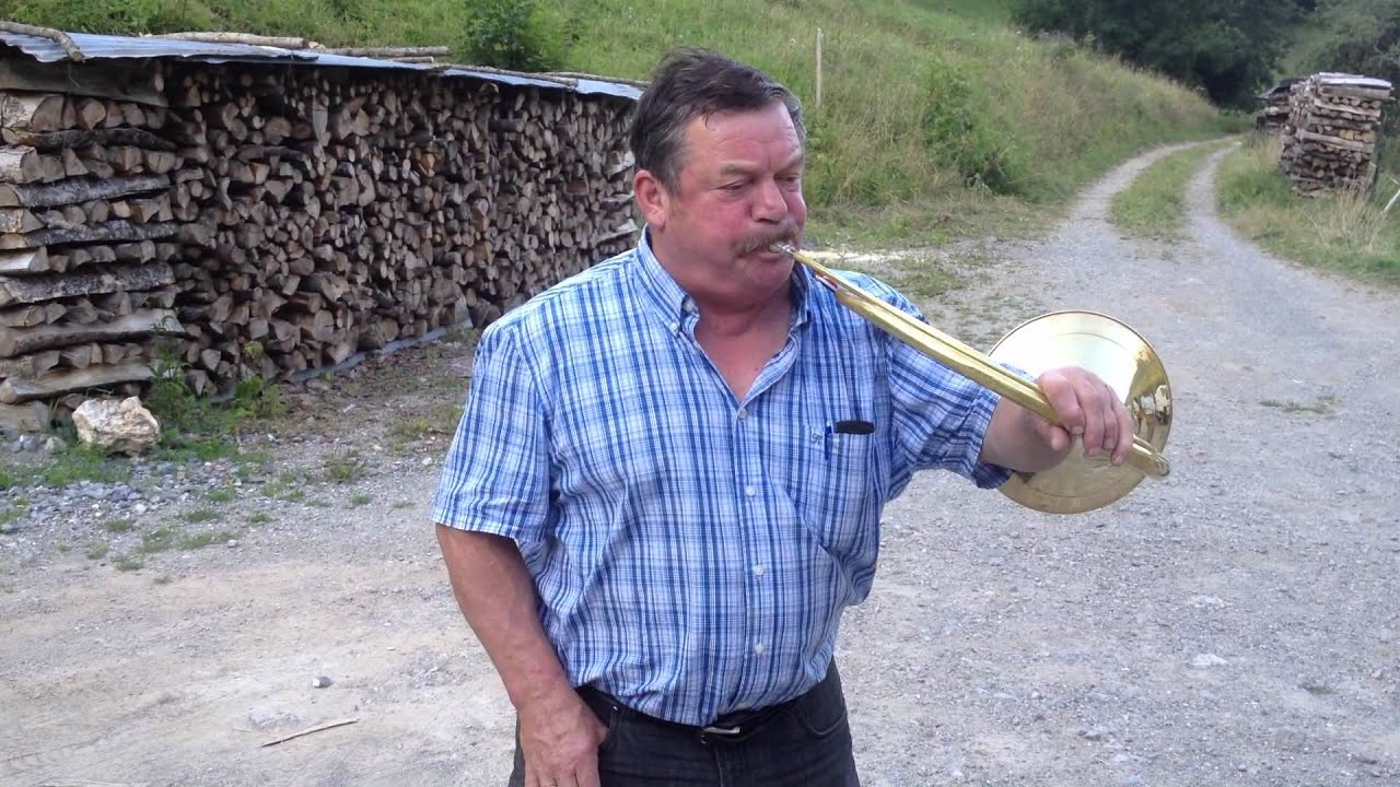 les trompes de novel