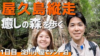 【屋久島①】世界遺産を歩く縦走登山1日目。神秘的な森の中でテント泊ができる最高の場所でした！