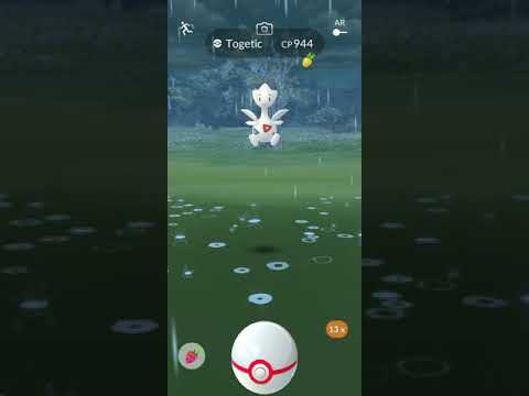 Togetic raid - fled 