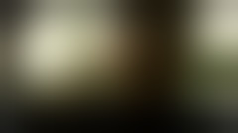 ENV2 Empower Network Blog Beast