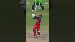 THE EAGLE SOARS! 🏹  Shaheen’s double strikes flip the match in Qalandar’s favor! 🔥 #tapmad PSL26