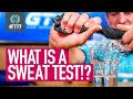 Sweat Testing: The Secret To A Perfect Race?