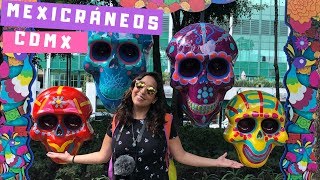 Ciudad de México-  😱 💀CALAVERAS GIGANTES -Mexicráneos